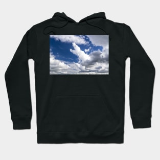 Crocodile Cloud Hoodie